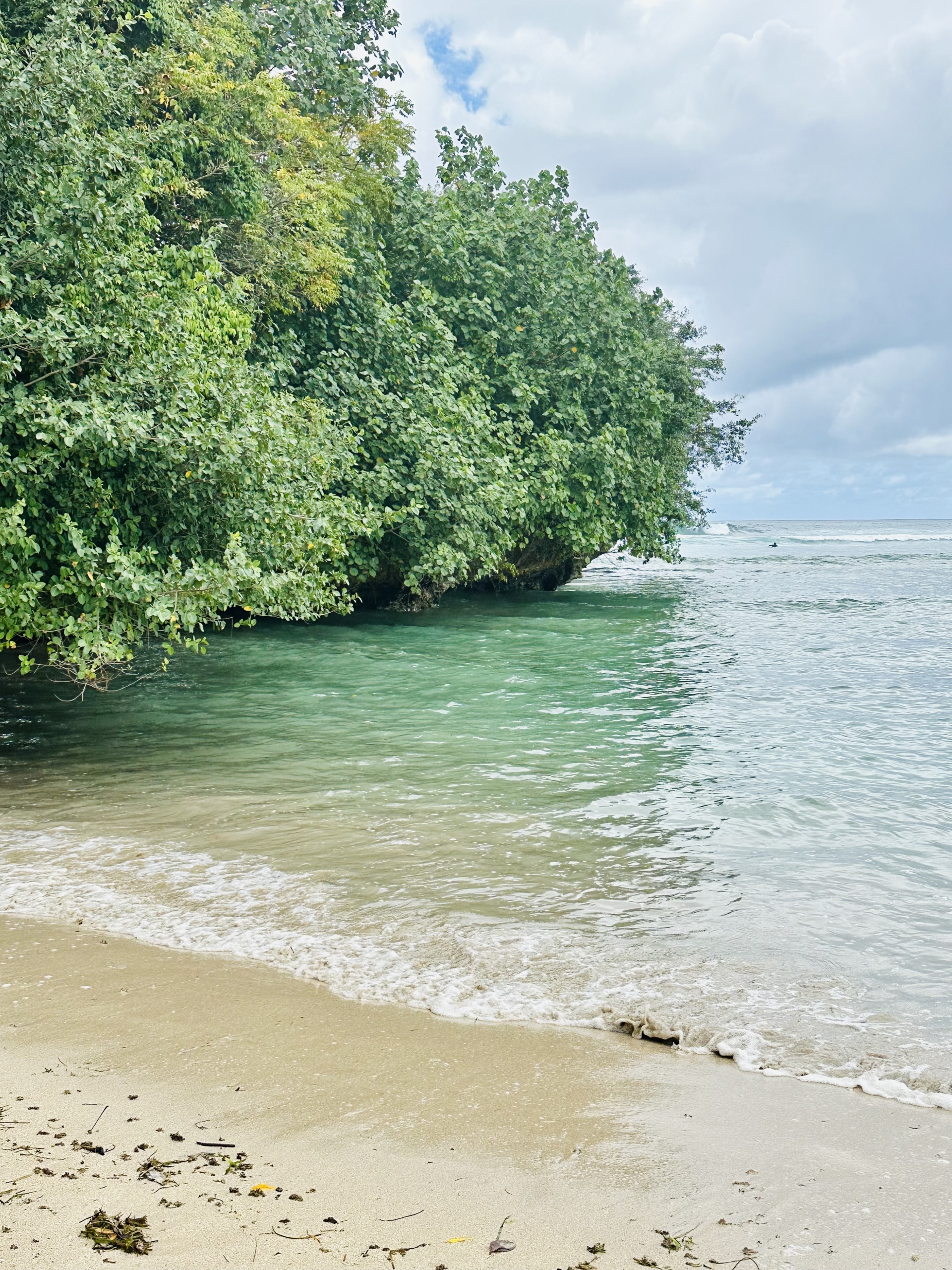 Ruhiger Sandstrand mit türkisem Wasser und üppig grünem Ufer